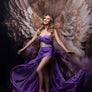 Evangelina - HSD Photography Backdrops