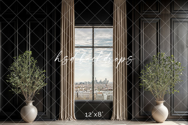 Office With a View (sweep options) - HSD Photography Backdrops