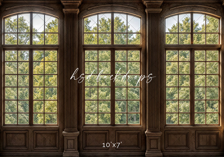 Elegant Arched Windows (sweep options) - HSD Photography Backdrops