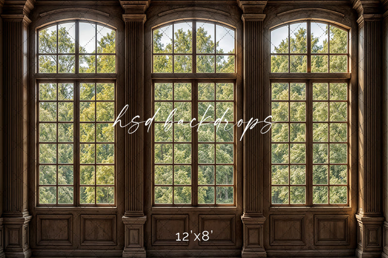Elegant Arched Windows (sweep options) - HSD Photography Backdrops