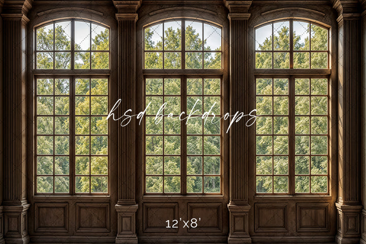 Elegant Arched Windows (sweep options) - HSD Photography Backdrops