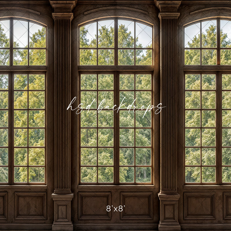 Elegant Arched Windows (sweep options) - HSD Photography Backdrops