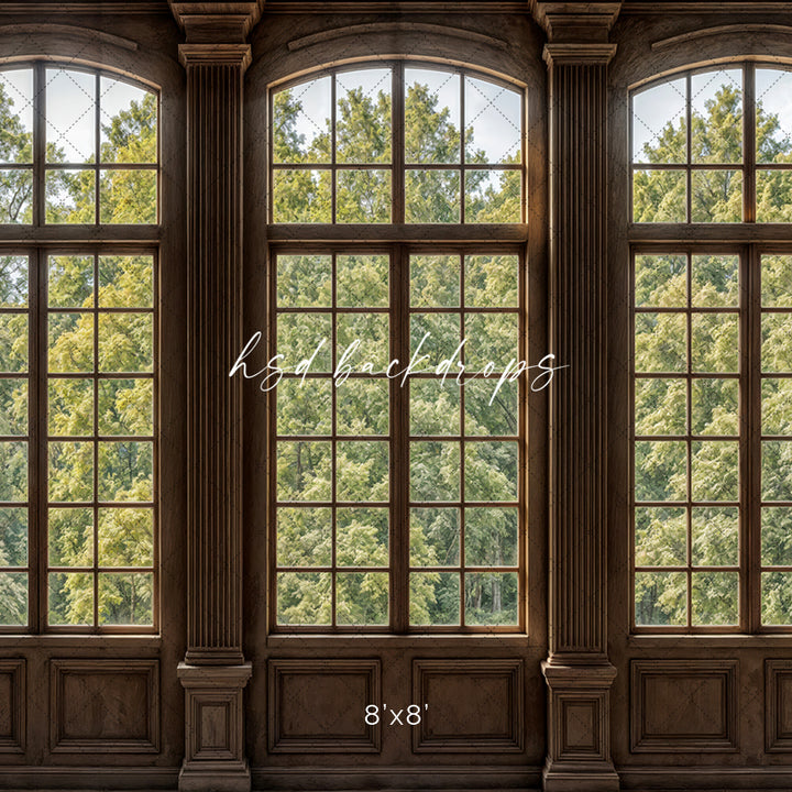 Elegant Arched Windows (sweep options) - HSD Photography Backdrops