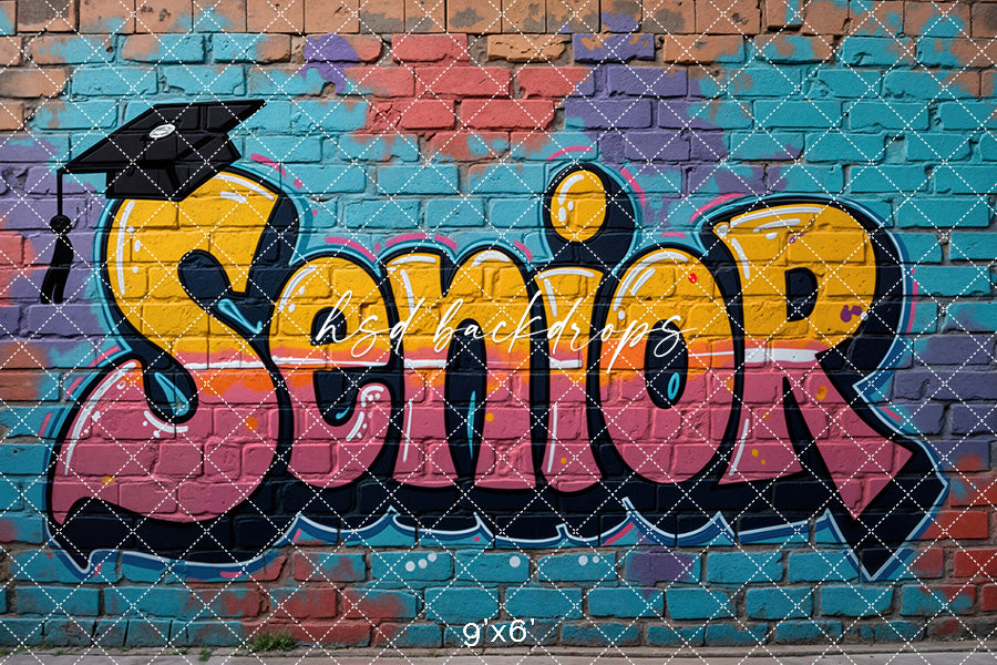 Senior Grad Graffiti (sweep options) - HSD Photography Backdrops