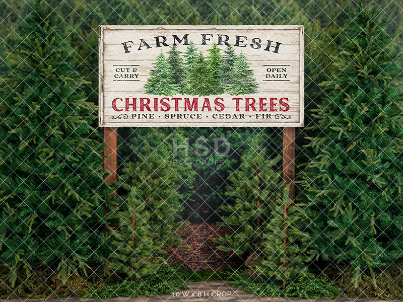 Farm Free Christmas Trees - HSD Photography Backdrops