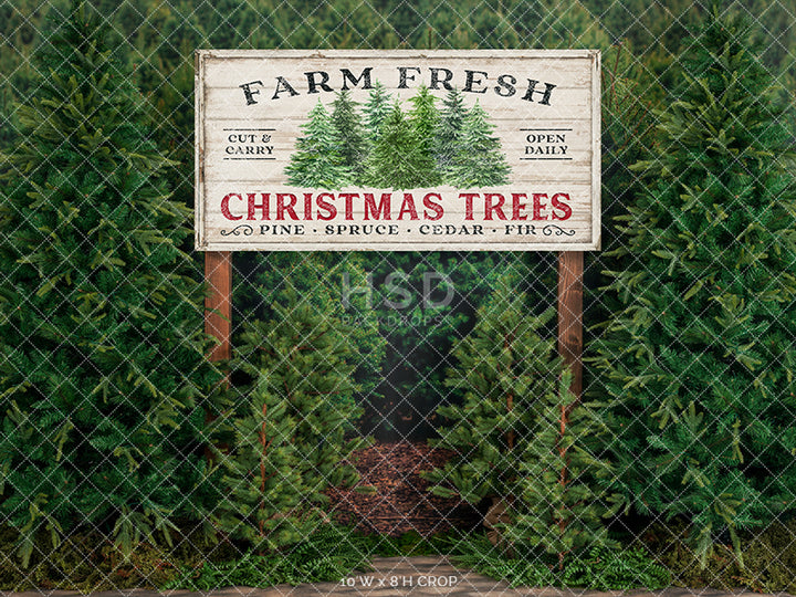 Farm Free Christmas Trees - HSD Photography Backdrops