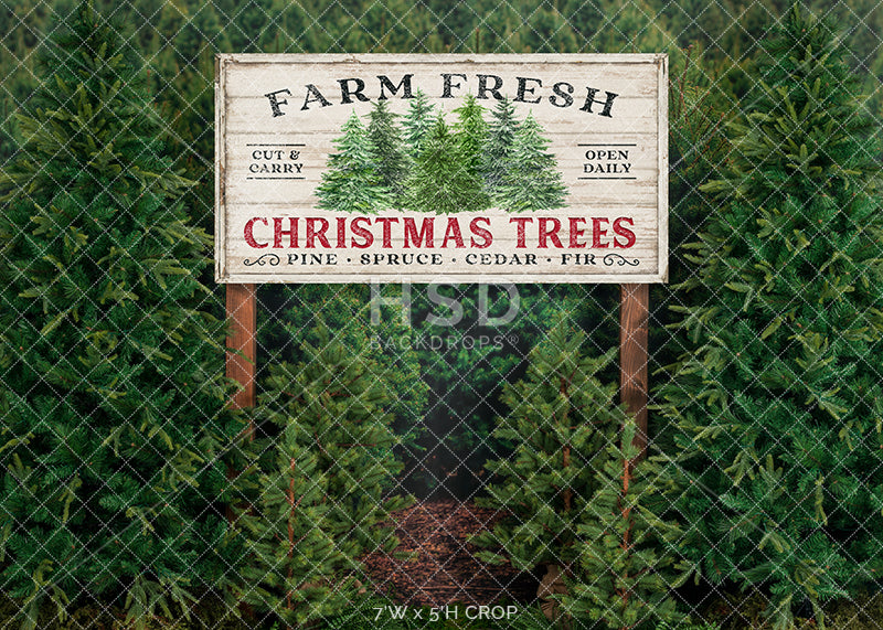 Farm Free Christmas Trees - HSD Photography Backdrops