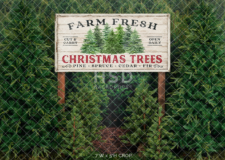 Farm Free Christmas Trees - HSD Photography Backdrops
