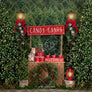 Candy Canes & Hot Cocoa - HSD Photography Backdrops