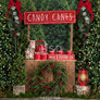 Candy Canes & Hot Cocoa - HSD Photography Backdrops