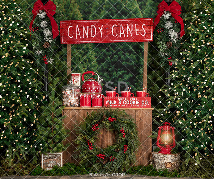 Candy Canes & Hot Cocoa (poly) - HSD Photography Backdrops