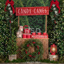 Candy Canes & Hot Cocoa - HSD Photography Backdrops