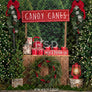 Candy Canes & Hot Cocoa - HSD Photography Backdrops
