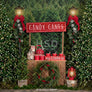 Candy Canes & Hot Cocoa - HSD Photography Backdrops