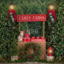 Candy Canes & Hot Cocoa - HSD Photography Backdrops