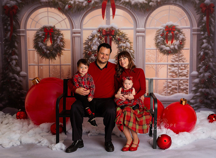 Arched Winter Windows - HSD Photography Backdrops