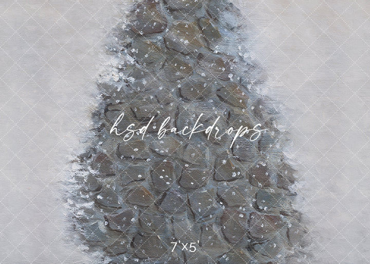 Winter Stone Pathway - HSD Photography Backdrops