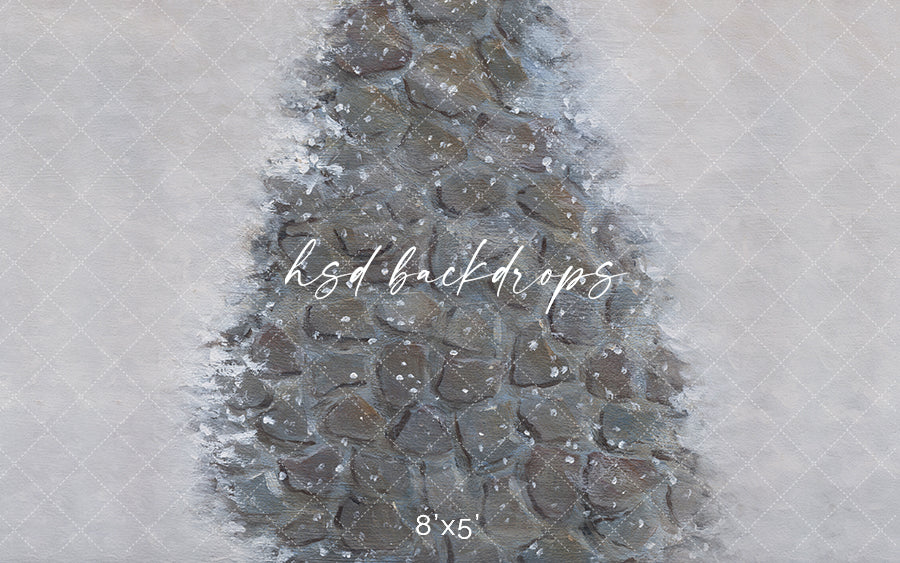 Winter Stone Pathway - HSD Photography Backdrops