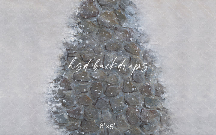 Winter Stone Pathway - HSD Photography Backdrops