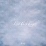 Snowy Winter Floor Mat - HSD Photography Backdrops