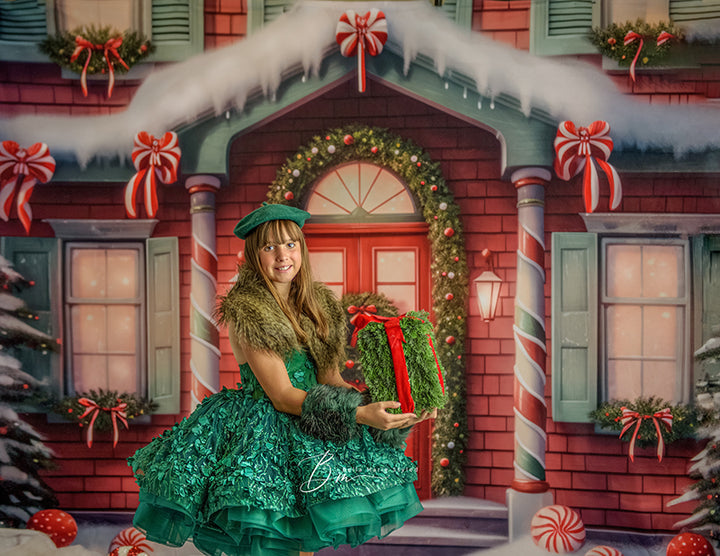 Cute Christmas Cottage - HSD Photography Backdrops