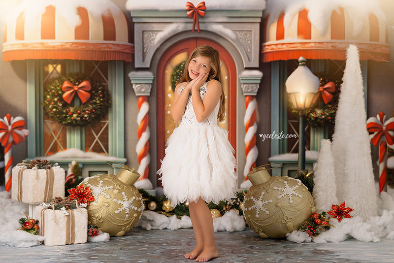 Very Merry Village Store - HSD Photography Backdrops