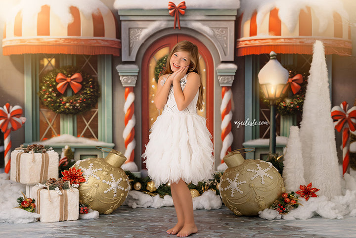 Very Merry Village Store - HSD Photography Backdrops