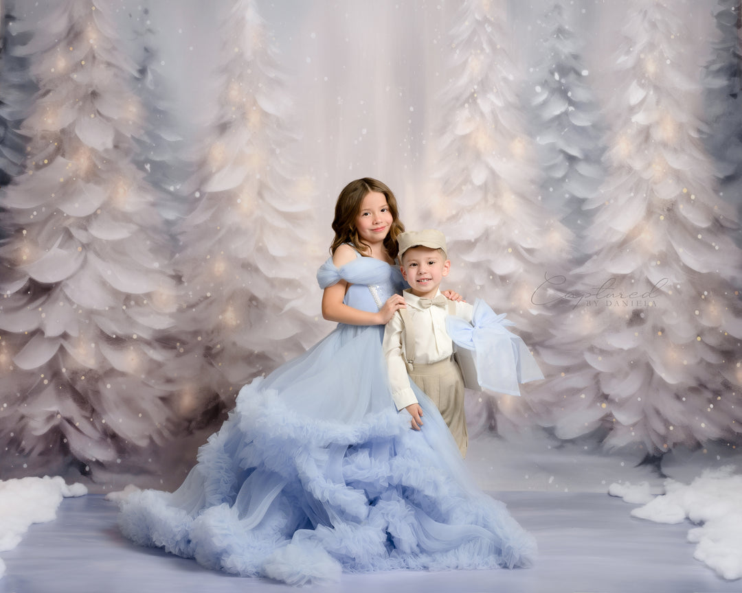 Snowy Winter Scene (sweep options) - HSD Photography Backdrops