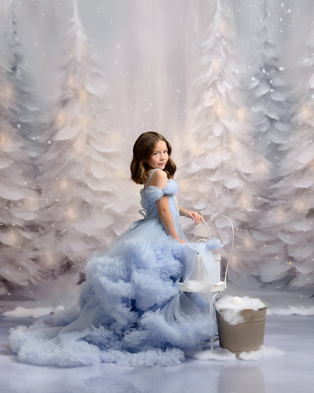 Snowy Winter Scene (sweep options) - HSD Photography Backdrops