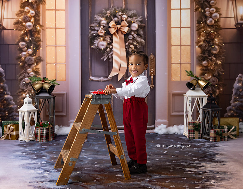 Silver & Champagne Holiday Door (sweep options) - HSD Photography Backdrops