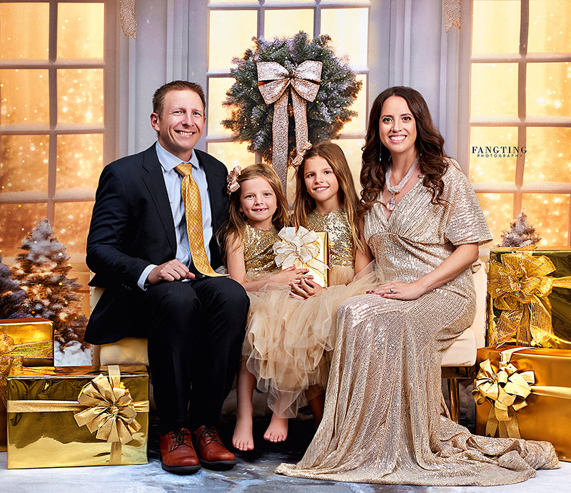 Champagne Winter Windows - HSD Photography Backdrops