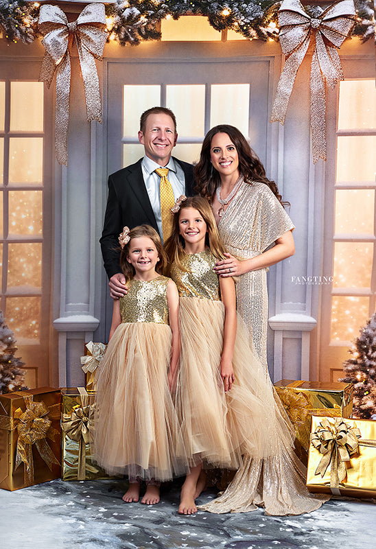 Champagne Winter Windows - HSD Photography Backdrops