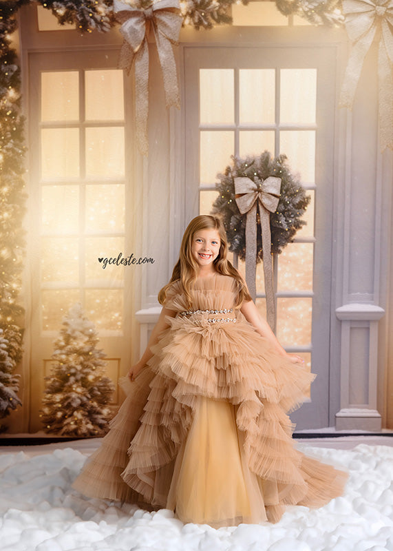 Champagne Winter Windows - HSD Photography Backdrops