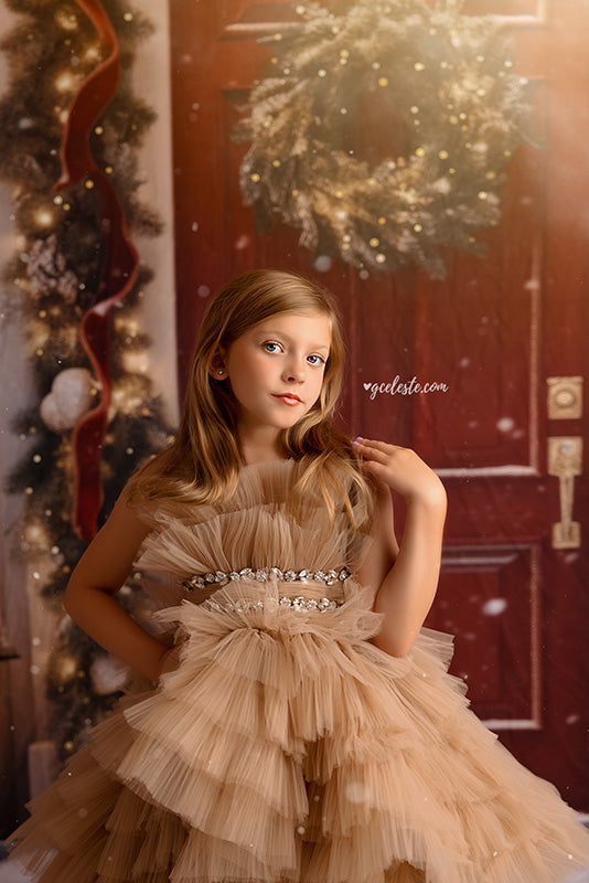Crimson Christmas Door 10'X8' - RTS - HSD Photography Backdrops 