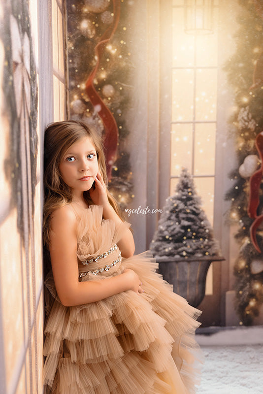 Crimson Christmas Door (sweep options) - HSD Photography Backdrops