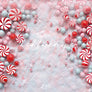 Peppermint Pathway Floor Mat - HSD Photography Backdrops