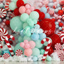 Peppermint Party - HSD Photography Backdrops