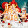 Gingerbread House on the Hill - HSD Photography Backdrops