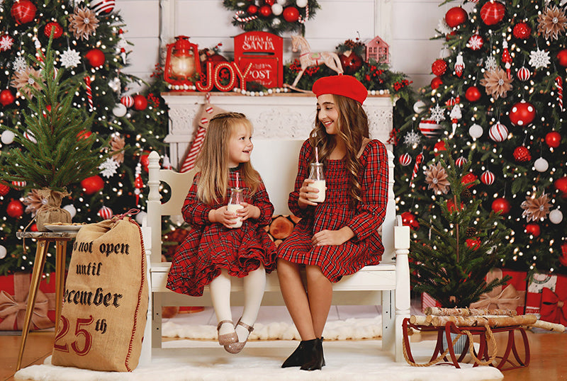 Cozy Christmas Fireplace - HSD Photography Backdrops