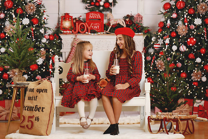 Cozy Christmas Fireplace - HSD Photography Backdrops