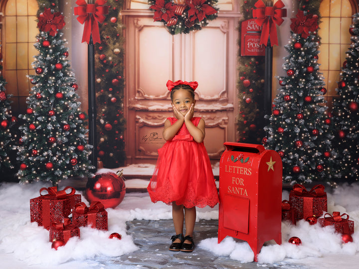 Christmas Hall - HSD Photography Backdrops
