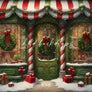 Grinchmas Storefront - HSD Photography Backdrops