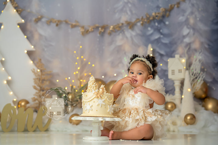 Winter Onederland - HSD Photography Backdrops