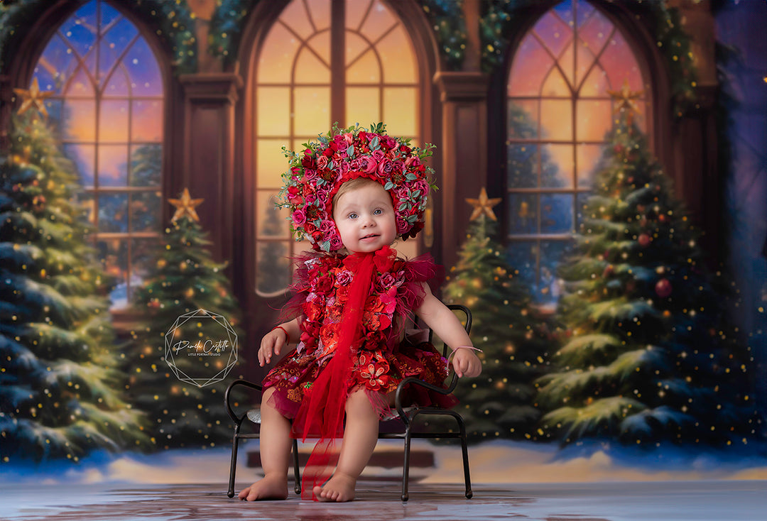 Arched Christmas Windows (sweep options) - HSD Photography Backdrops