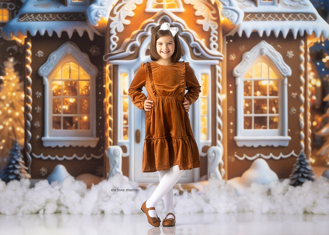 Cozy Gingerbread House (sweep options) - HSD Photography Backdrops