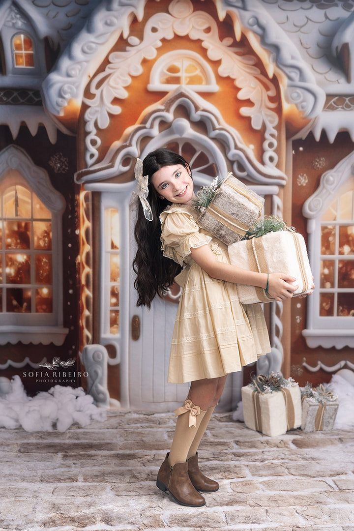 Cozy Gingerbread House (sweep options) - HSD Photography Backdrops