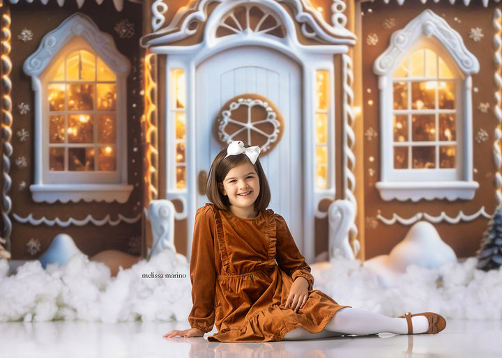 Cozy Gingerbread House (sweep options) - HSD Photography Backdrops