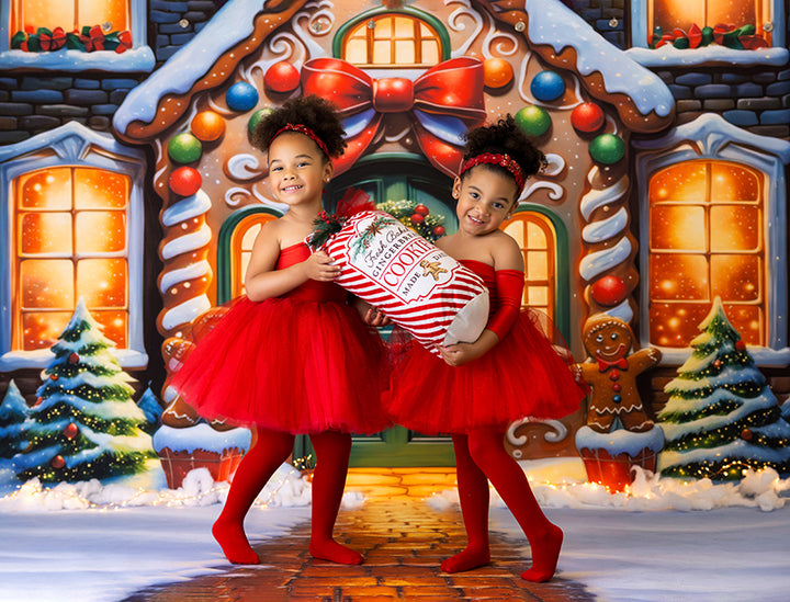 Frosted Gingerbread House (sweep options) - HSD Photography Backdrops