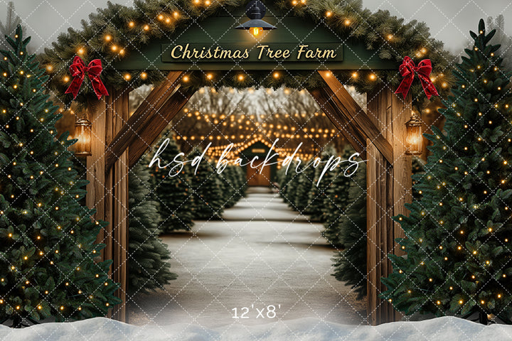 Arched Tree Farm Entrance (sweep options) - HSD Photography Backdrops
