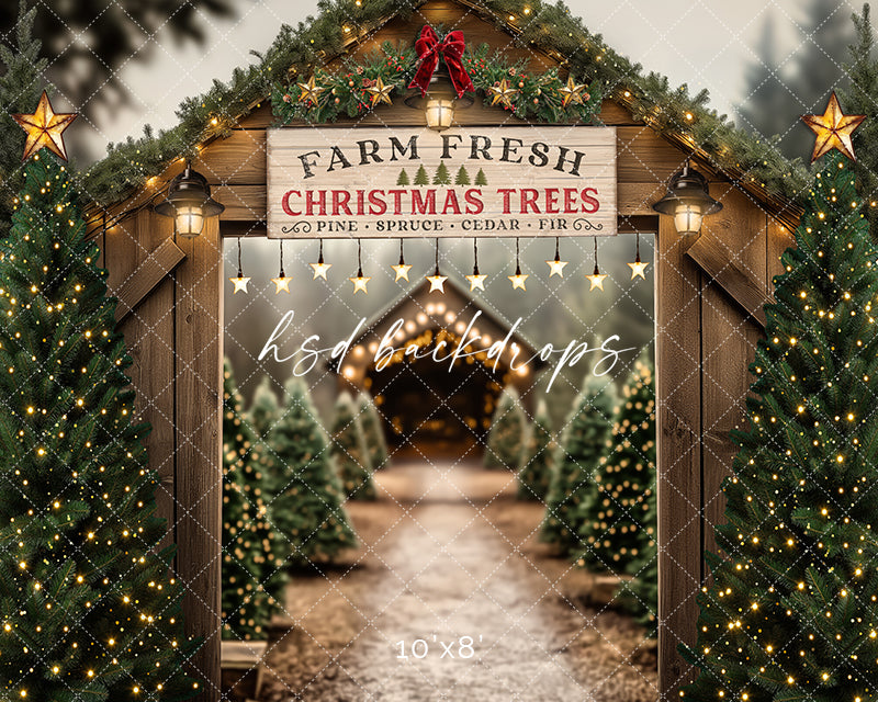 Christmas Room - CHS65473 - HSD Photography Backdrops